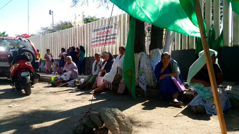 Activistas denuncian «menosprecio» de Sedesol en Oaxaca