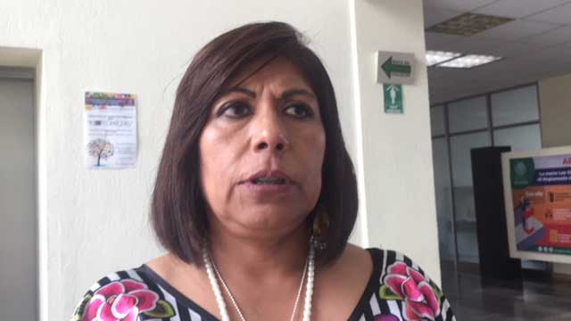 Incremento de salario mínimo garantizará mejores condiciones de vida: Hilda Luis