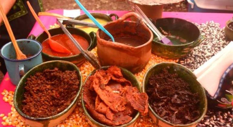 Oaxaca, Hidalgo y Yucatán, ideales para el turismo gastronómico