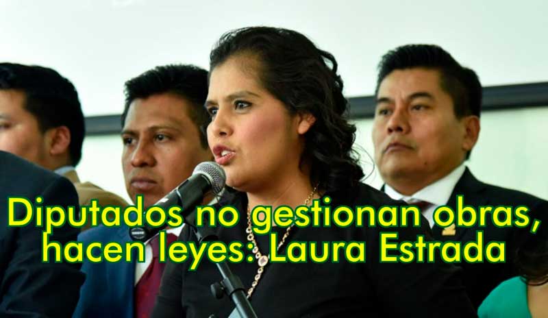 Diputados no gestionan obras, hacen leyes: Laura Estrada Mauro