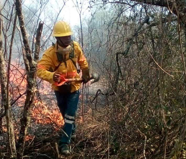 Atiende Coesfo incendios forestales en la entidad