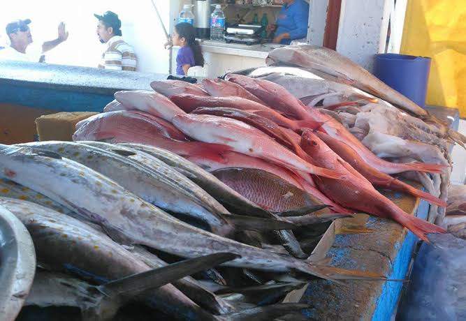 Aumenta precio de pescados y mariscos en Semana Mayor