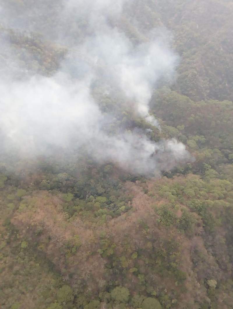 Controlados cinco incendios forestales: Coesfo
