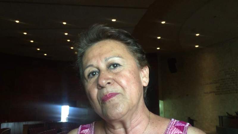 Morena da voto de confianza a Comisión de Derechos Humanos para elegir al próximo ombudsman, afirma la diputada Delfina Díaz