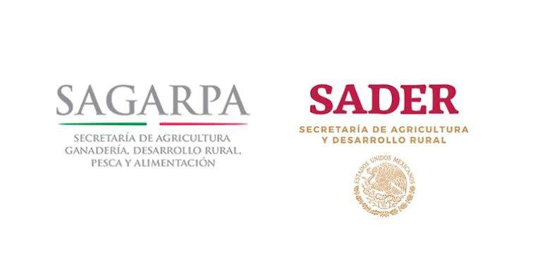Trabajan coordinadamente Sedapa y Sader para acercar programas federales