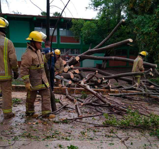 Atienden municipios daños por lluvias: CEPCO