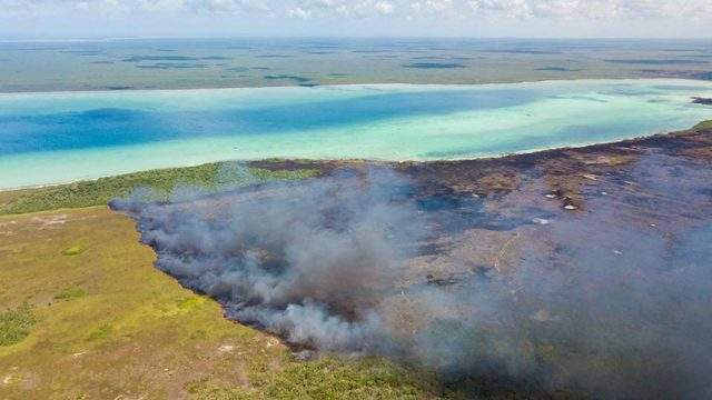 Incendios consumen más de 600 hectáreas en reserva de Sian Ka’an #QuintanaRoo