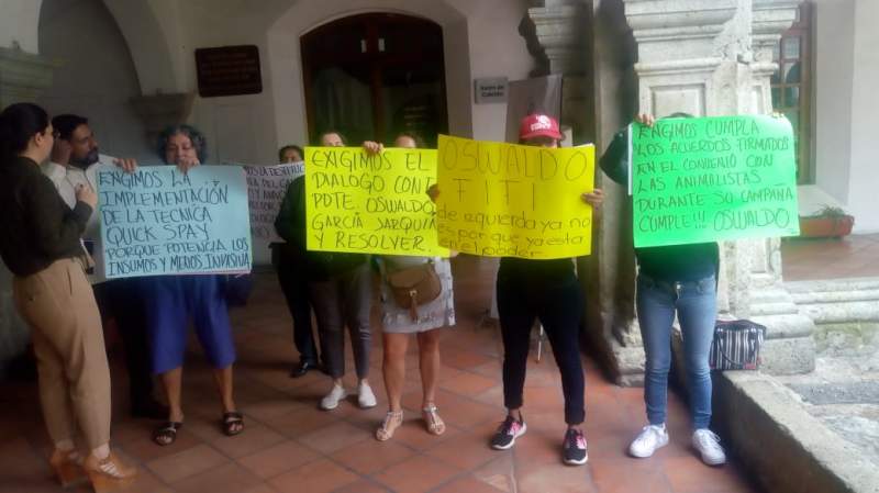 ¡Cumple Oswaldo!, exigen animalistas a edil de Oaxaca de Juárez