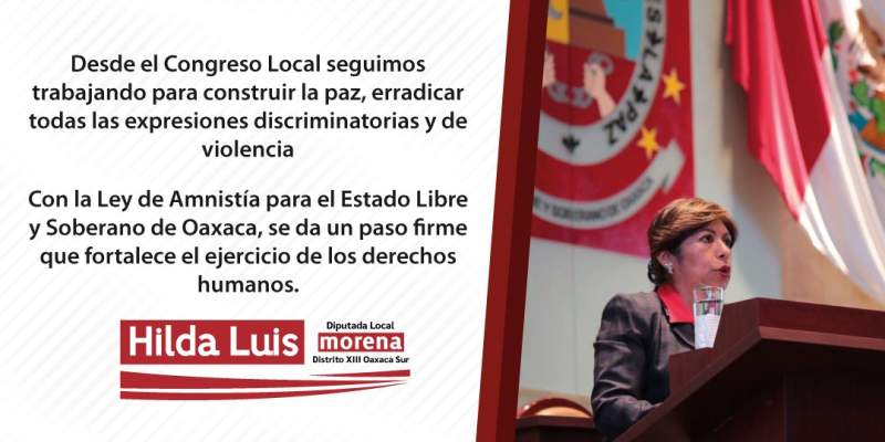 Propone Hilda Luis, Ley de Amnistía para Oaxaca