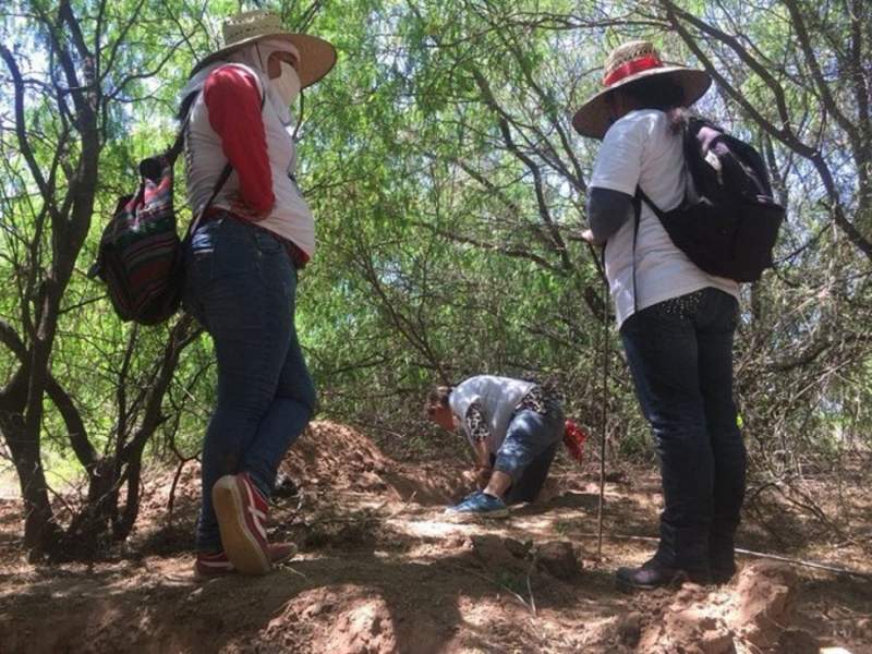 Voluntarias encuentran 40 osamentas y dos cadáveres en Sonora