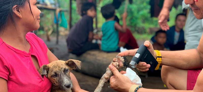 México, el primer país libre de rabia humana transmitida por los perros