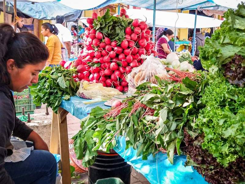 Consumir local es la mejor forma de apoyar a los trabajadores del campo: Daniel Gutiérrez Gutiérrez
