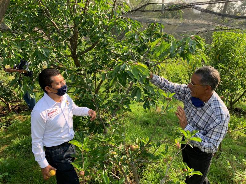 Reconocen trabajo de Daniel Gutiérrez por trabajo en comunidades marginadas y en impulsar el sector frutícola