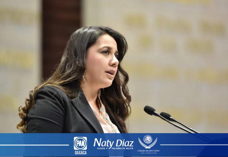 Presupuesto 2021: Sin salud, sin seguridad, sin empleos, sin obra pública.- Dip. Naty Díaz