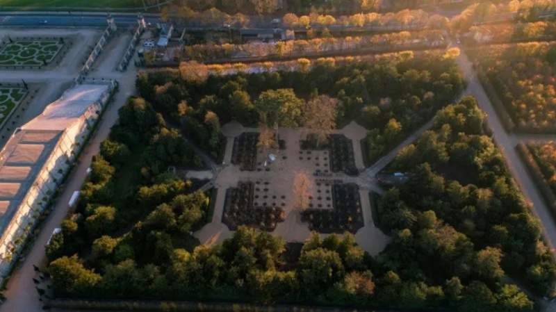 Bosque de Versalles de María Antonieta recupera su aspecto original