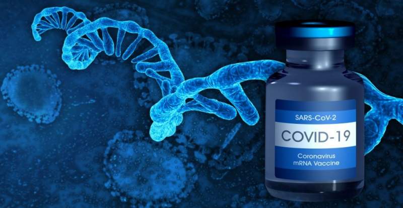 Vacunas de Pfizer y Moderna contra la Covid-19 no afectan el código genético