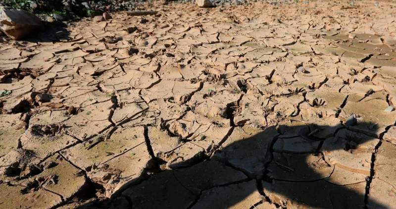 Cambio climático: La Tierra pierde sus “signos vitales”, advierten 14 mil expertos