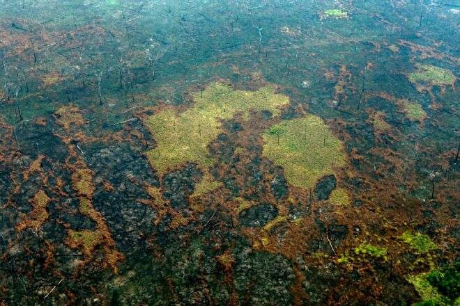 La deforestación en la Amazonia brasileña batió nuevo récord en junio